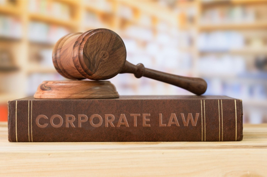 cyber law