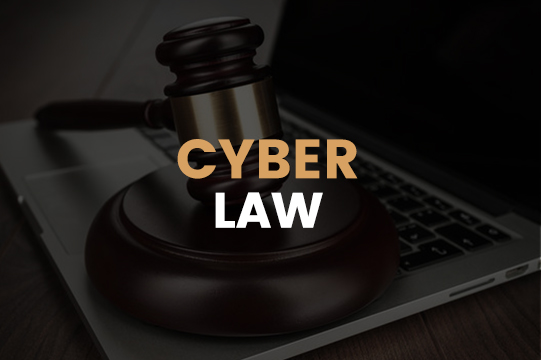cyber law